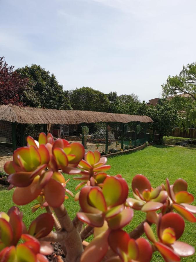 Villa Del Remei Vidreres Εξωτερικό φωτογραφία